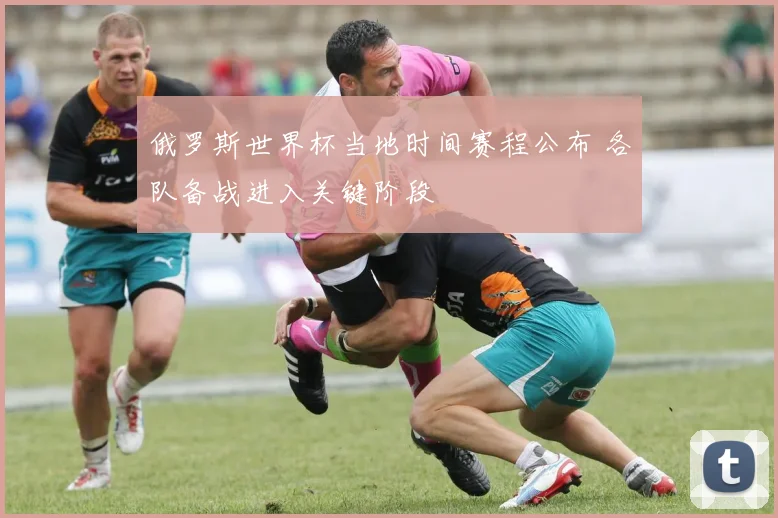 俄罗斯世界杯当地时间赛程公布 各队备战进入关键阶段