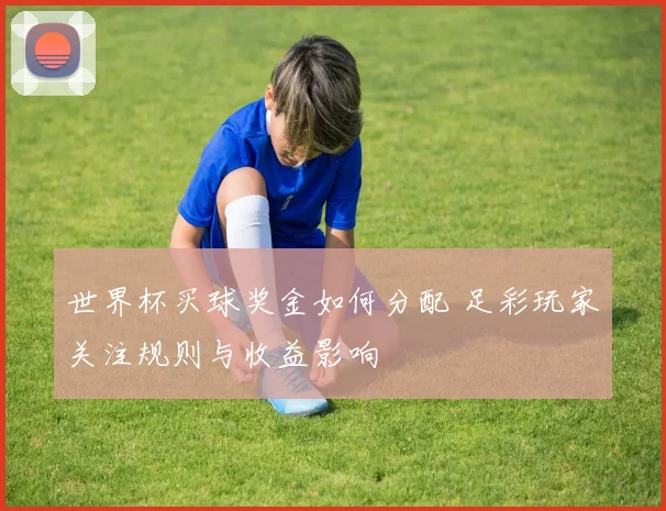 世界杯买球奖金如何分配 足彩玩家关注规则与收益影响
