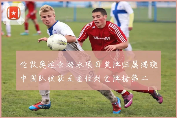 伦敦奥运会游泳项目奖牌归属揭晓中国队收获五金位列金牌榜第二