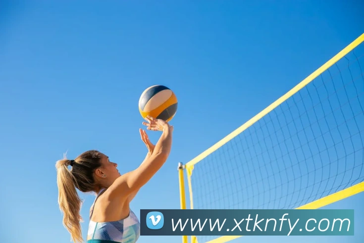 新爱体育官网APP 封面图